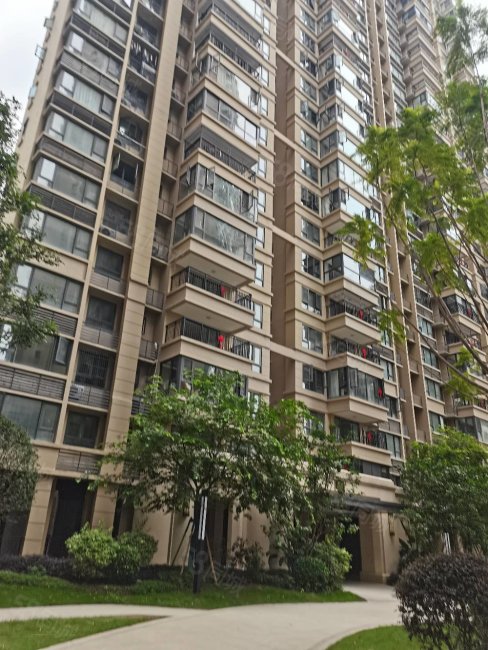 市中心现房现证单价9字头秀田即交房朝阳商圈