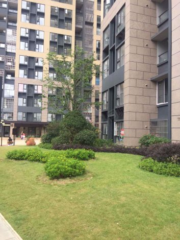 万科城a区低密度花园,普通 有钥匙带您看