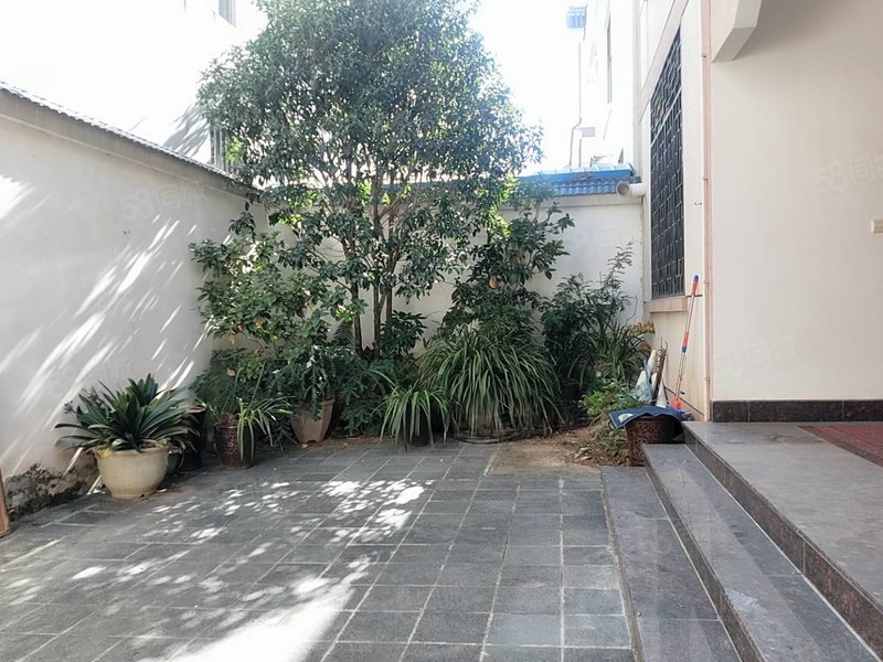 兰城路单家独院停车方便有天有地真正的花园洋房