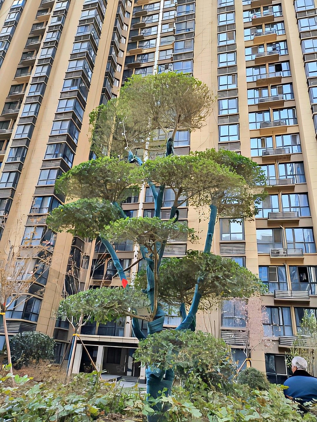 西安58同城>西安房产信息>西安二手房>未央二手房>三桥二手房>海棠湾>