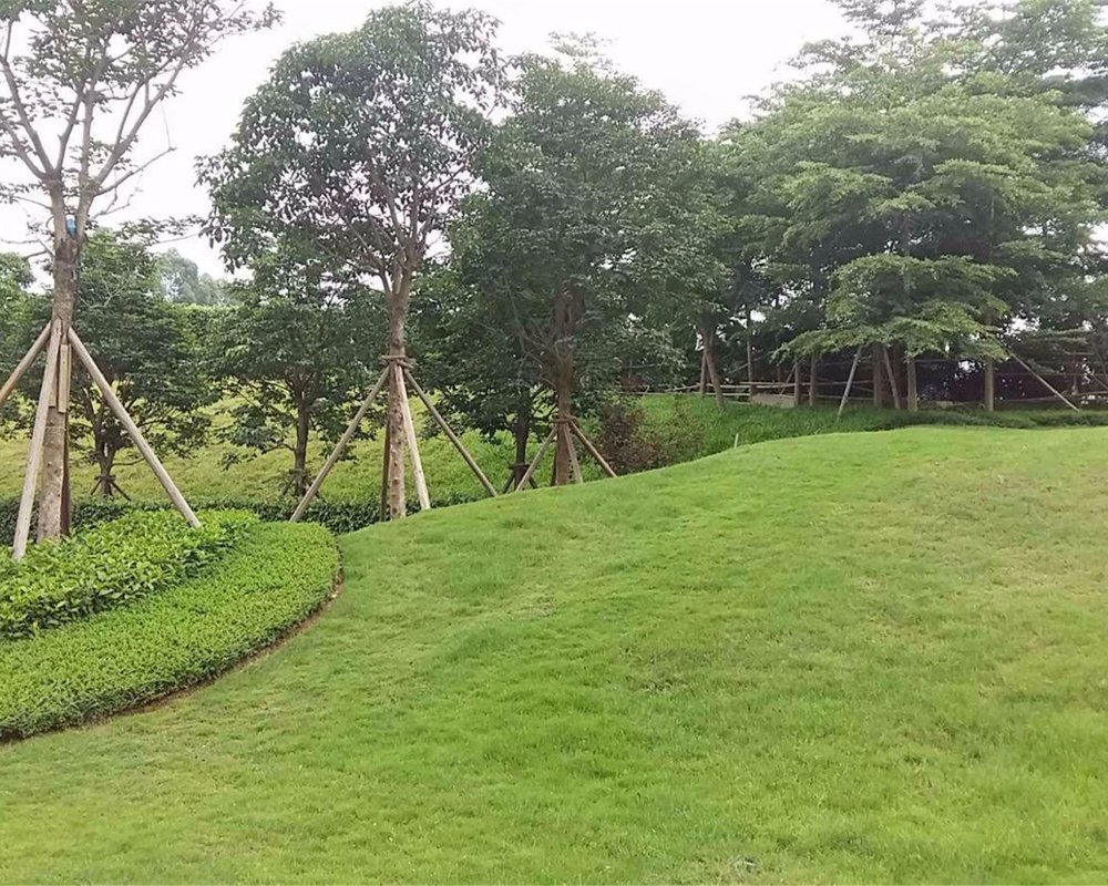 【麓湖名轩, 麓湖名轩小区详情,房价走势,房源,业主论坛】- 广州58