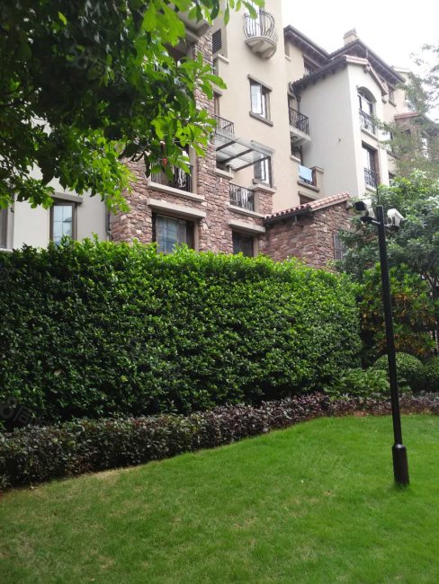 高端小区西海岸九小侨中美林谷精装大平层4房仁恒上东旁