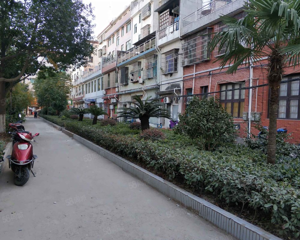 【下骆宅新村, 下骆宅新村小区详情,房价走势,房源,业主论坛】- 义乌
