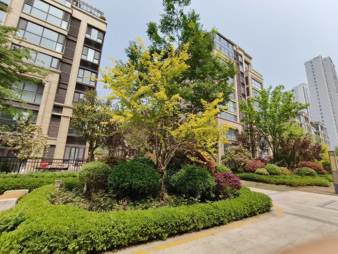 汀香郡灏园小高3室落地大阳台证过2中层采光好