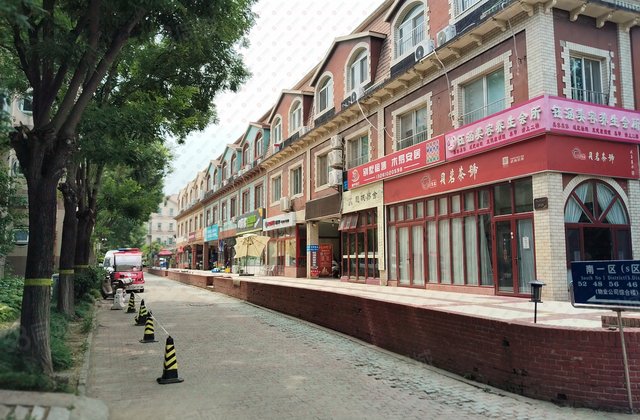 龙城花园S区4室2厅217㎡520万二手房图片