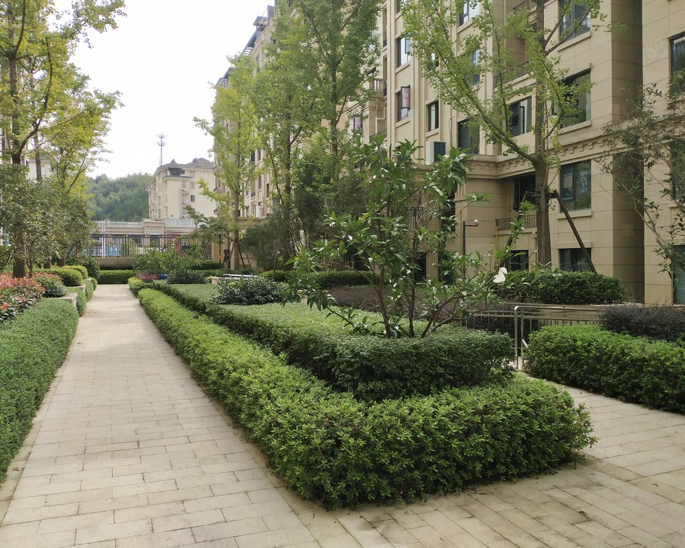 【中梁望府, 中梁望府小区详情,房价走势,房源,业主论坛】- 衢州58