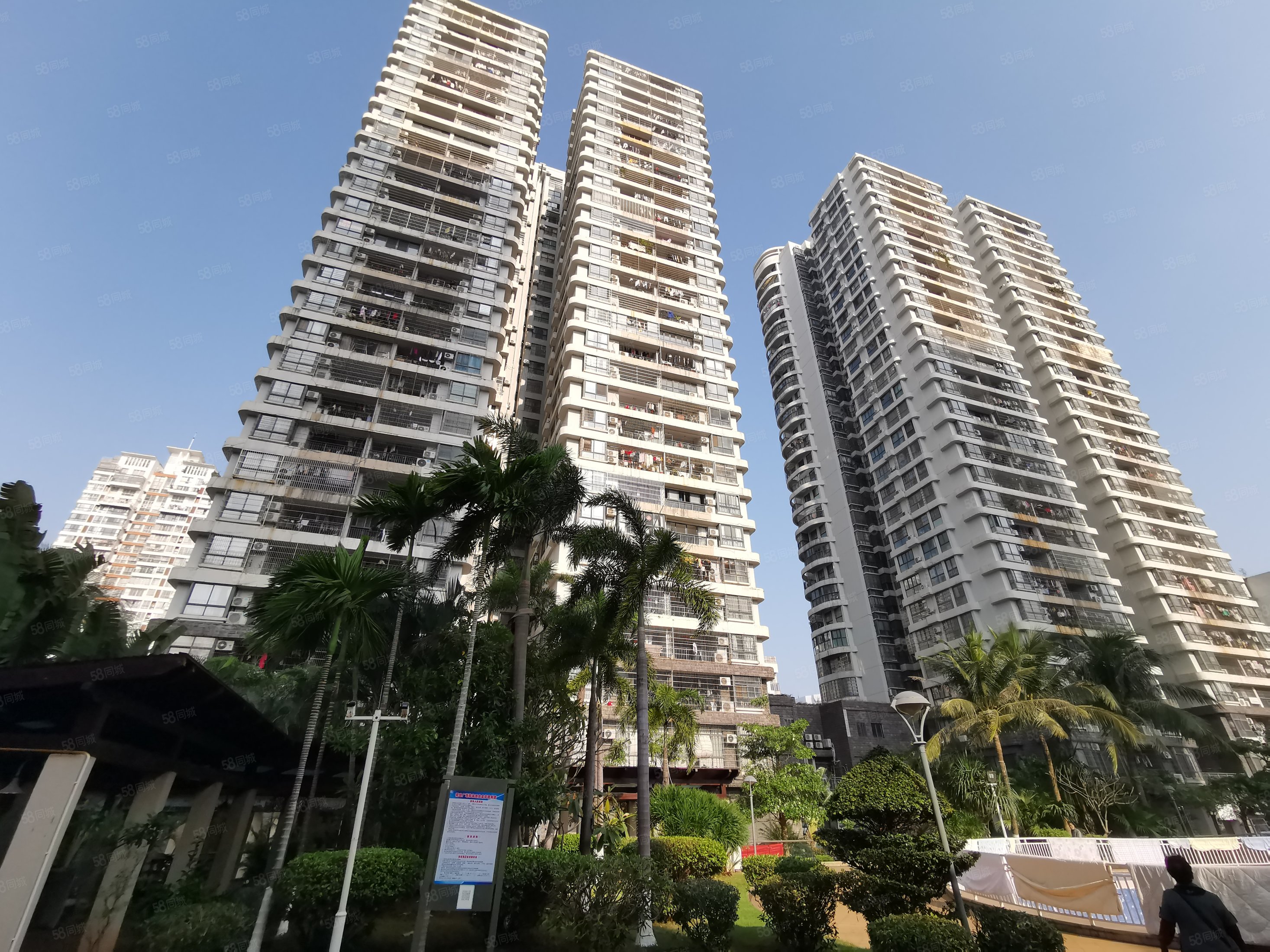 椰岛广场3室2厅2卫119.81㎡南北255万