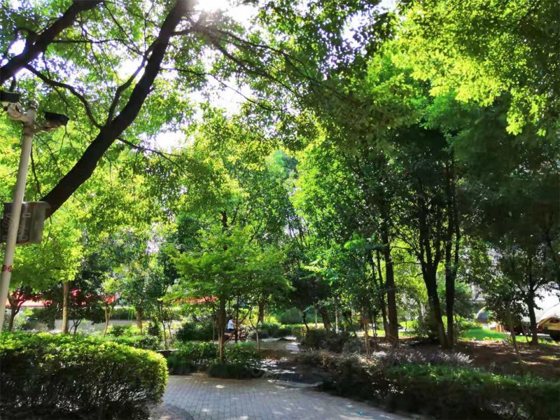 南湖山庄半岛花园4室2厅2卫155.41㎡南北230万