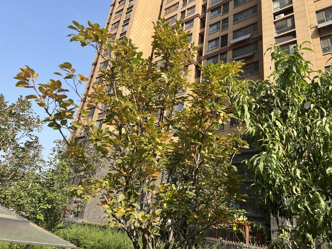 盛世豪庭 3室2厅2卫 带储藏室 证满2年,盛世豪廷-莱芜58同城