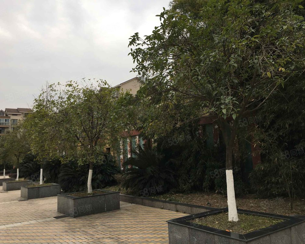 邸(新都), 状元府邸(新都)小区详情,房价走势,房源,业主论坛】- 成都