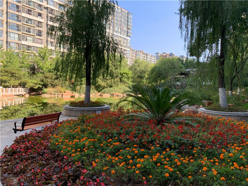 双井 富力城d区 精装两居室 观小区花园 看国贸夜景