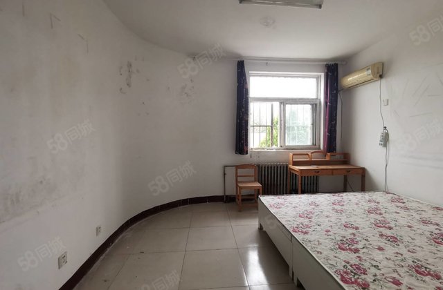 文轩 外国语 聊大 羡林苑 柳园小区 学府花园一室一厅有钥匙