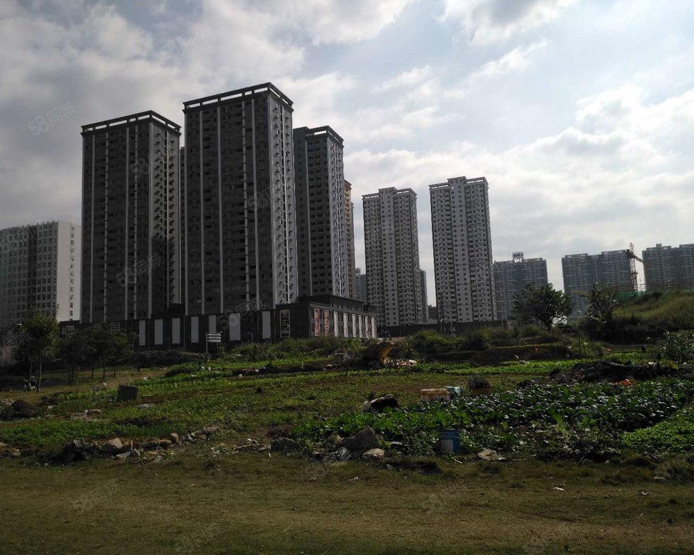 【凤凰湖畔, 凤凰湖畔小区详情,房价走势,房源,业主论坛】- 南宁58
