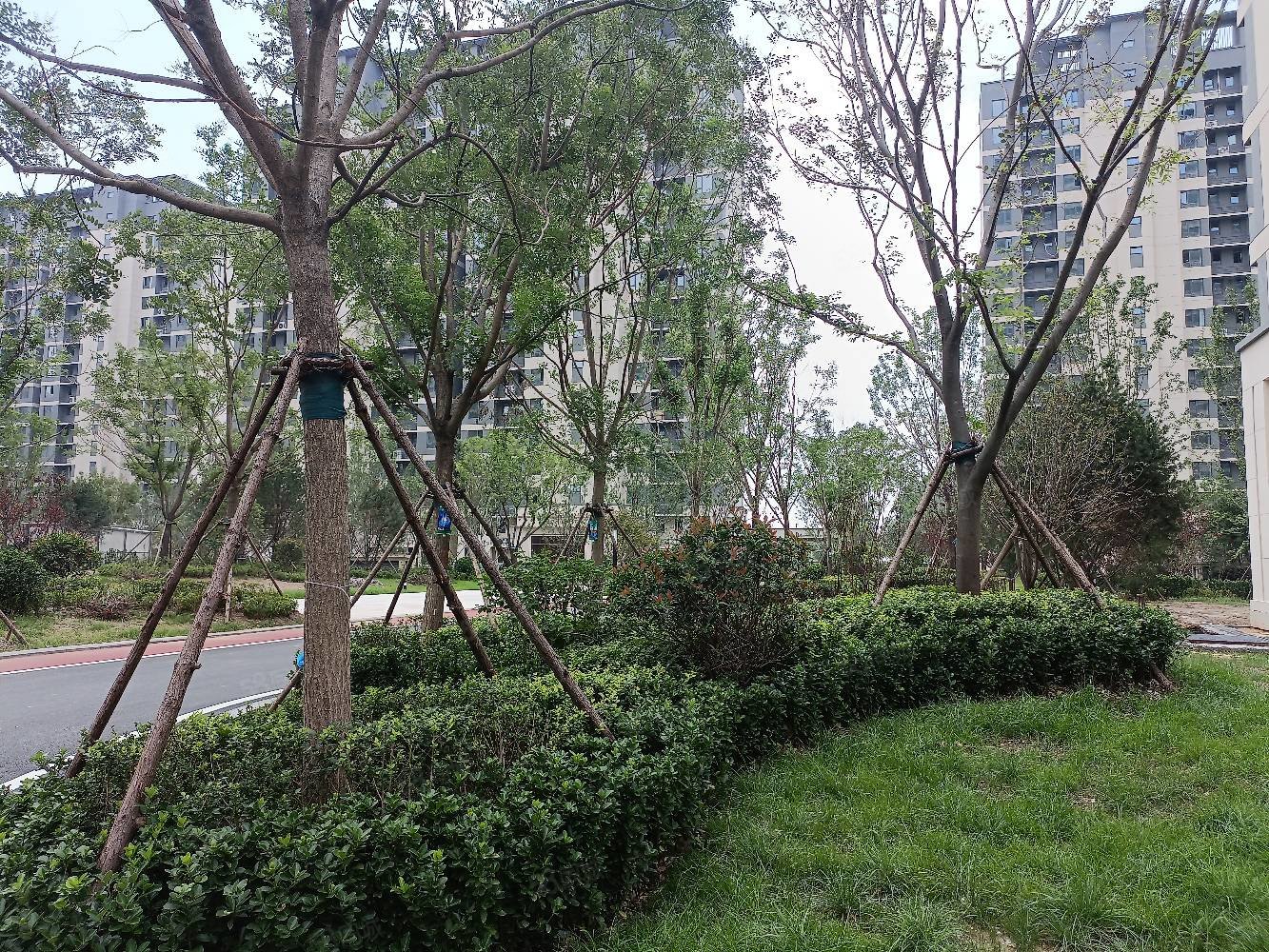 小区环境好,内有兖州附属 ,,幸福里嘉苑-济宁58同城