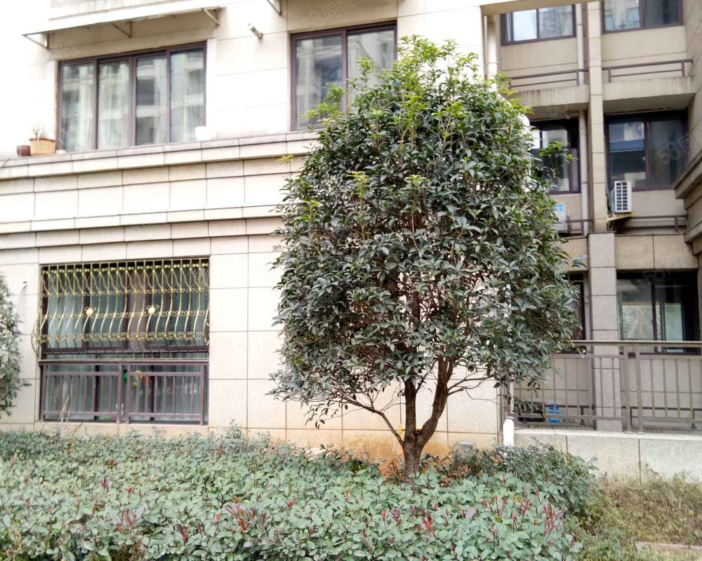 【北岭雅苑, 北岭雅苑小区详情,房价走势,房源,业主论坛】- 武义县58