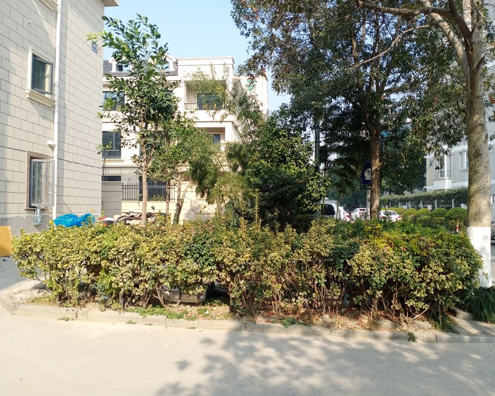 【幸福小区, 幸福小区小区详情,房价走势,房源,业主论坛】- 桐乡58