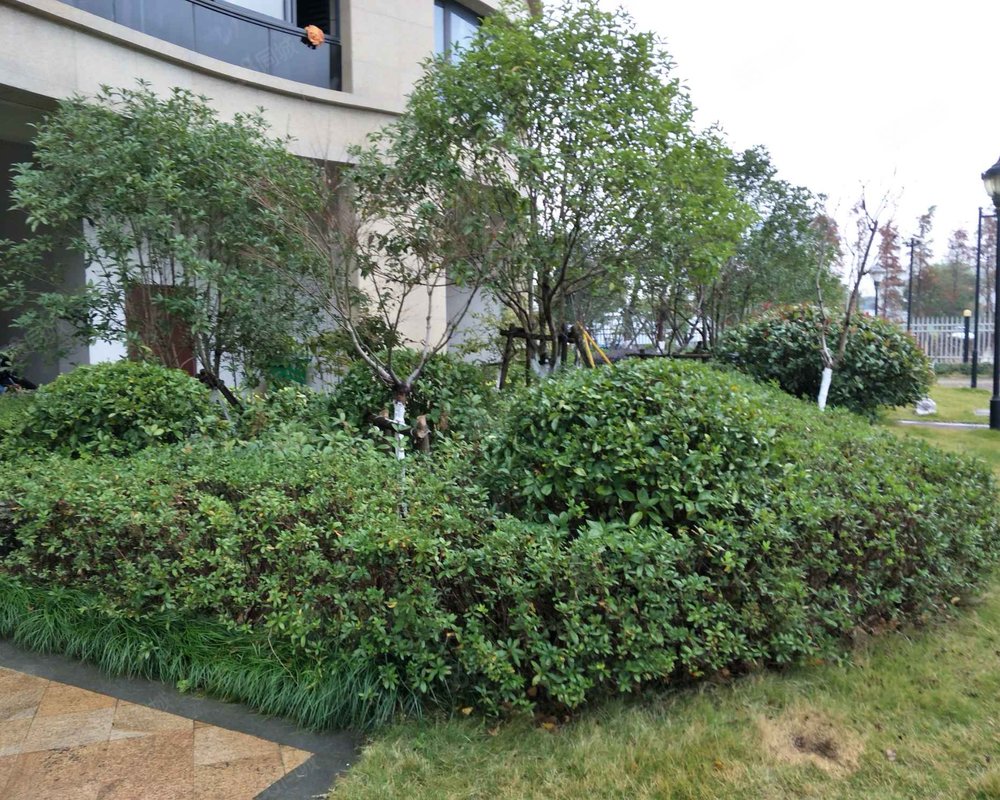 【悦景豪园, 悦景豪园小区详情,房价走势,房源,业主论坛】- 瑞安58