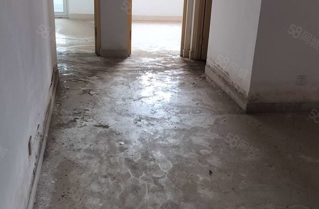 乐园      好楼层，可以走一手，全明户型