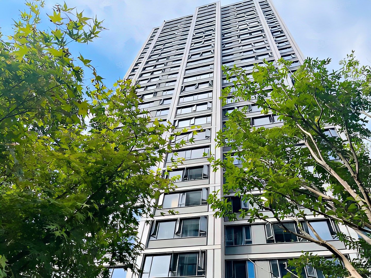 小区后排 人车分流 小区带泳池健身房 图书馆,融创长江壹号-合肥58