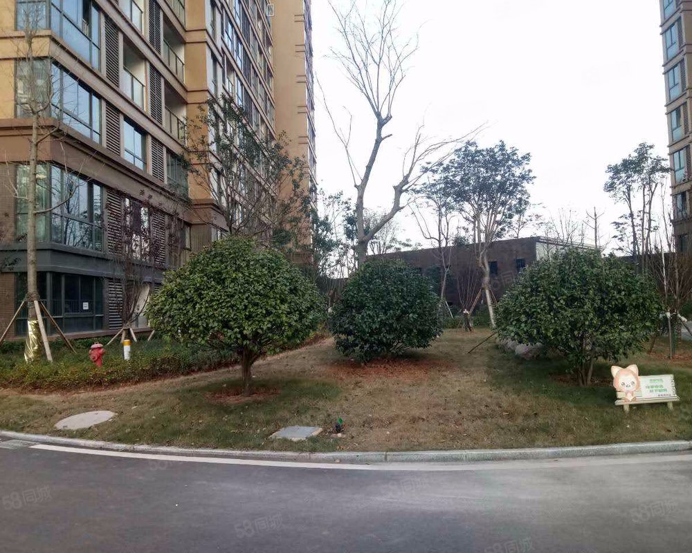 【学府华庭, 学府华庭小区详情,房价走势,房源,业主论坛】- 株洲58同