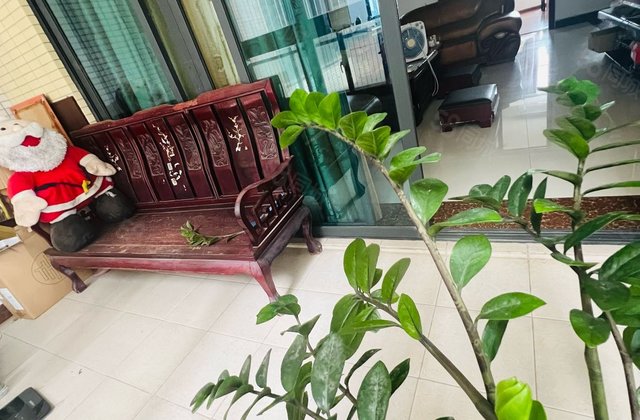 茂名华侨城3室2厅143㎡88万二手房图片