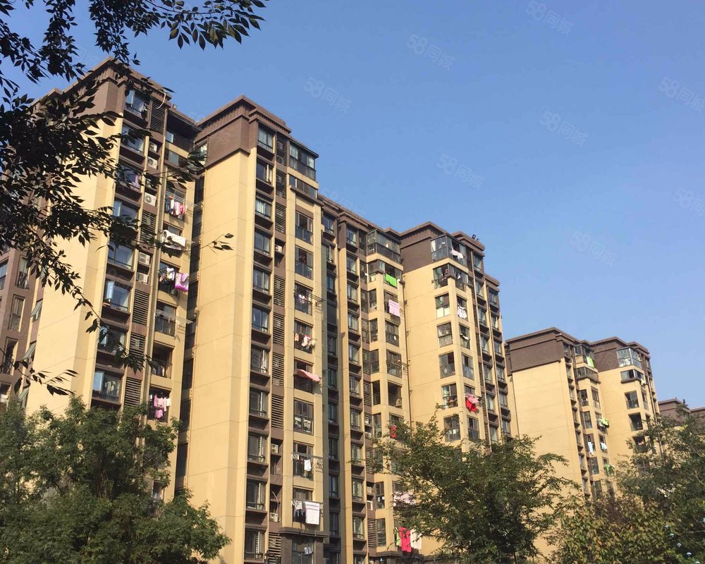 旭辉上河郡南区