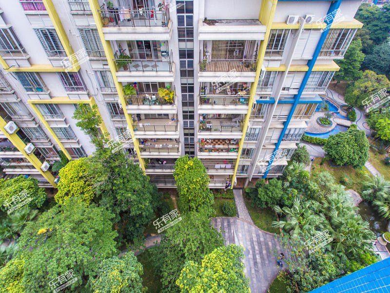 急售笋盘!花都 金色华庭 地铁口 学位房 产权清晰 可谈价