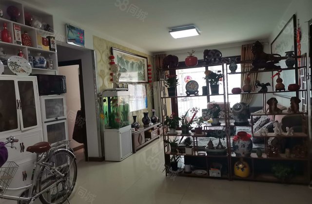 老文轩  房 龙湾商品房近东门 双卫免大税 方正客厅带阳台