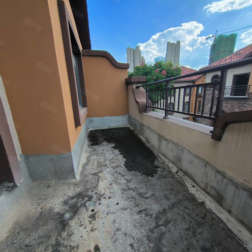 北部新洲莱茵别墅8室3厅7卫540㎡南北396万