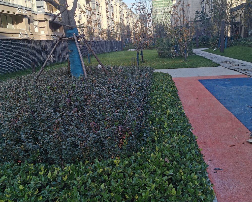 中南珑悦公寓住宅