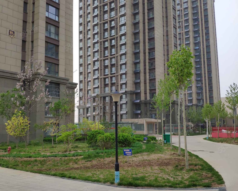 德百玫瑰园宁津