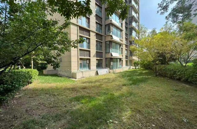 碧桂园翡丽湾带下沉院170平 院子100平  带车位