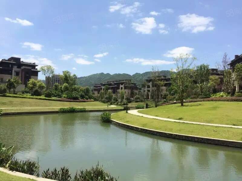 金科廊桥水乡美丽墅别墅内环绕城高速间