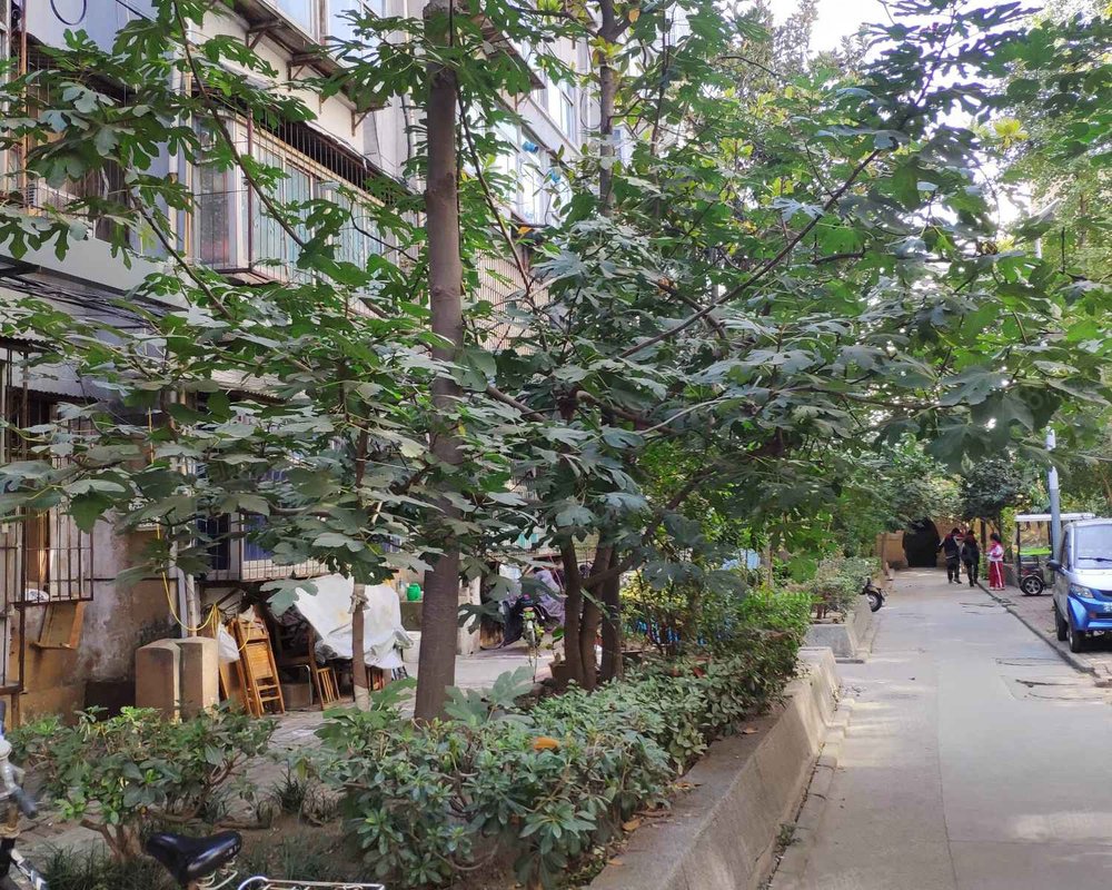 【少华公寓, 少华公寓小区详情,房价走势,房源,业主论坛】- 徐州58