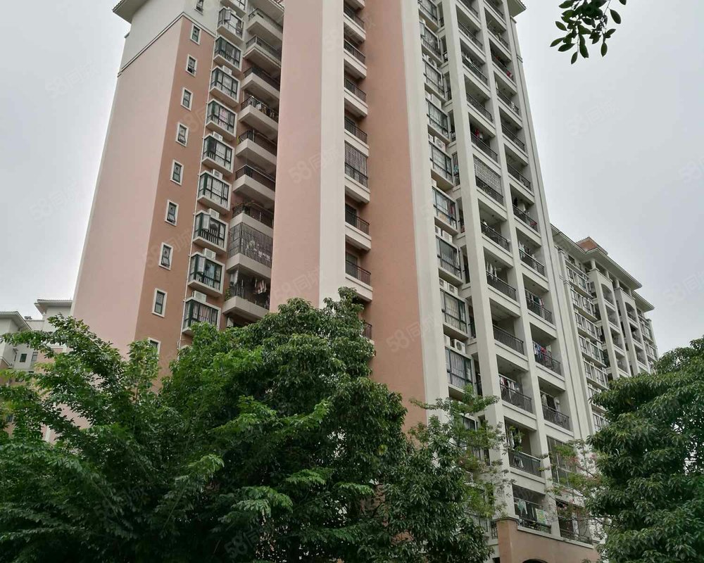 【阳光粤港, 阳光粤港小区详情,房价走势,房源,业主论坛】- 东莞58