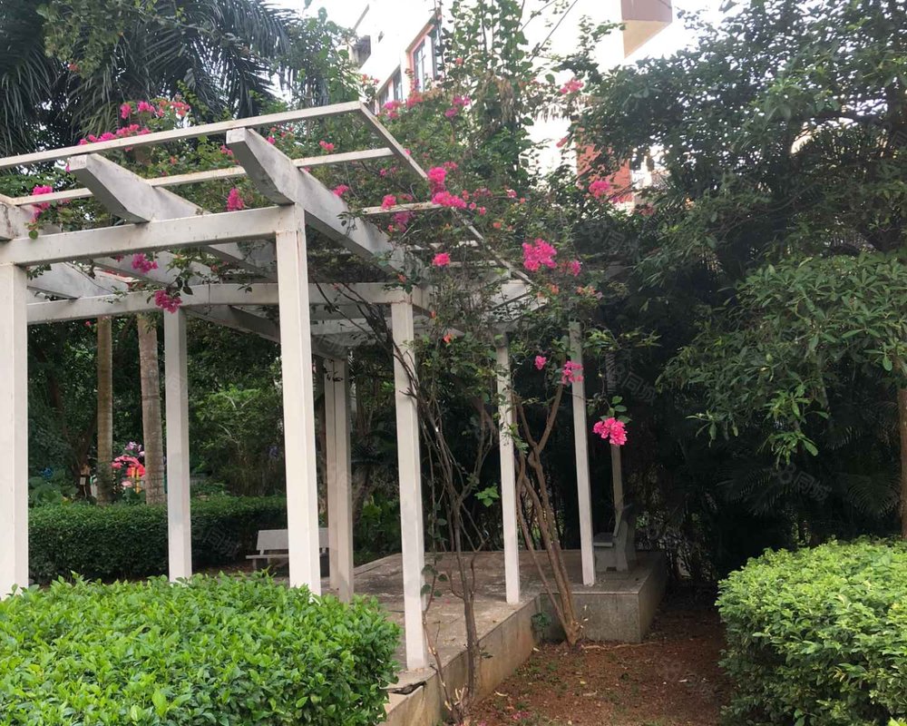 【水云轩, 水云轩小区详情,房价走势,房源,业主论坛】- 海口58同城