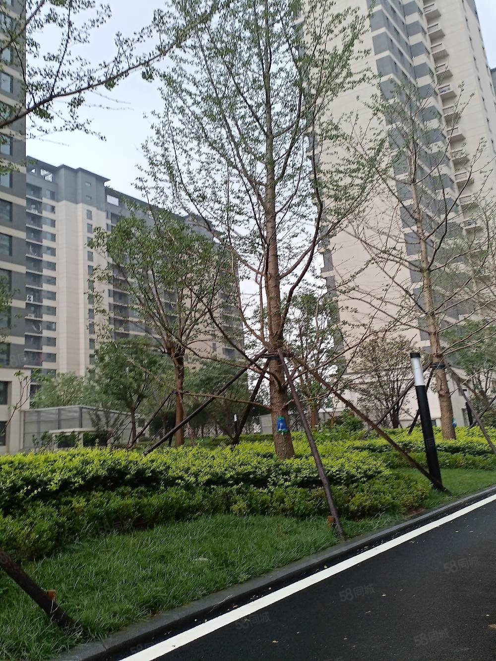 幸福里嘉苑4室2厅2卫185㎡南北145万