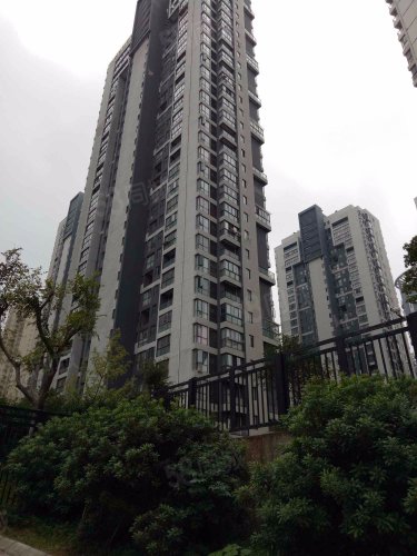 玺园毛坯两房送一个小房 可改三房 旁边就是澄碧湖 特别安静