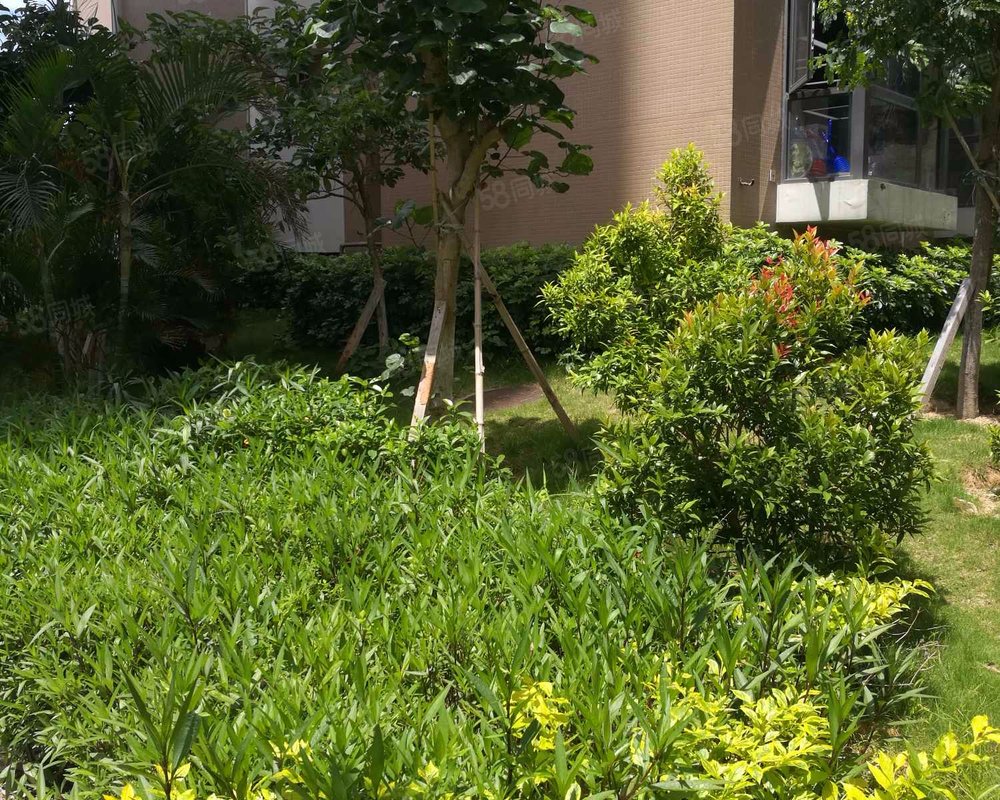 c区, 源泉山庄c区小区详情,房价走势,房源,业主论坛】- 厦门58同城