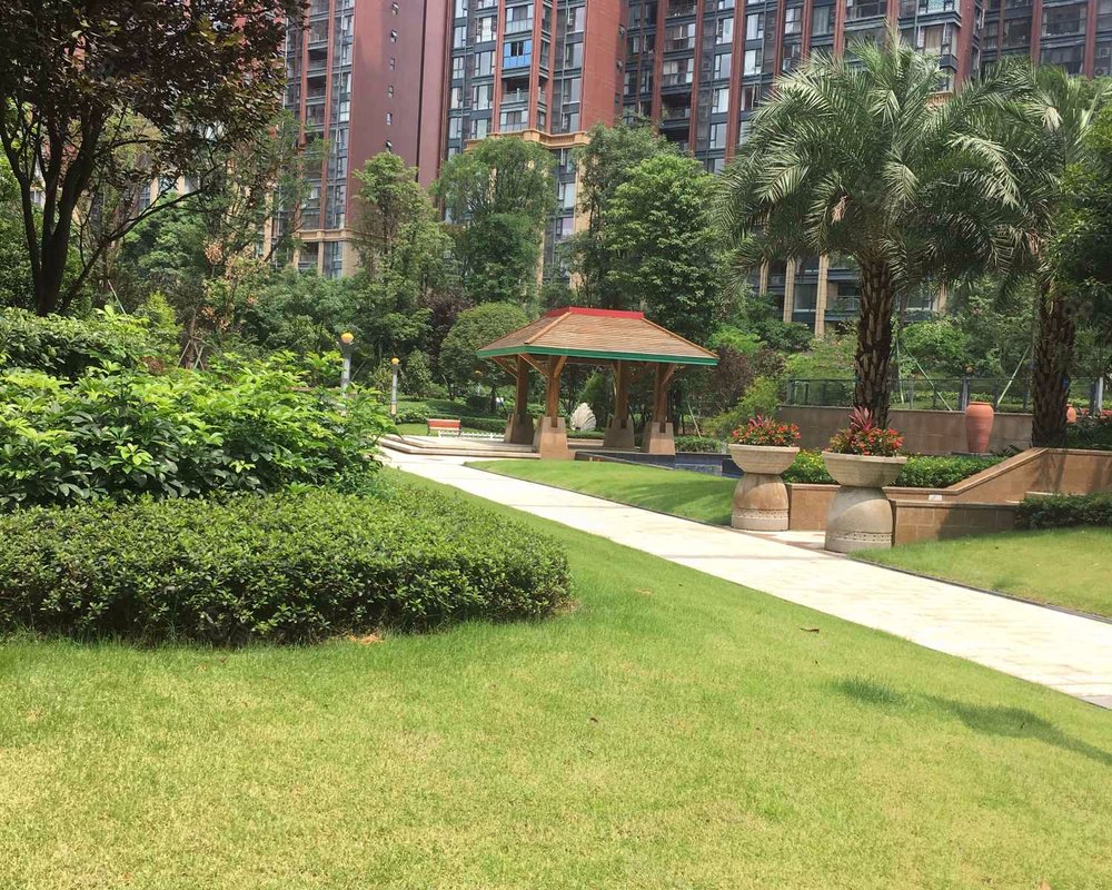 【天府美岸, 天府美岸小区详情,房价走势,房源,业主论坛】- 成都58