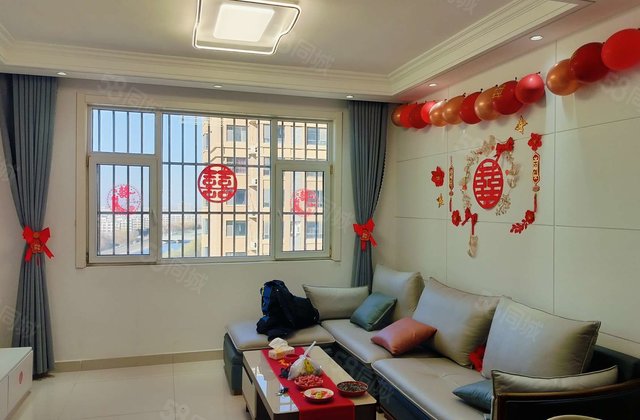 嘉明 南向采光好 中间楼层 楼龄新 商品房 有电梯 装修好