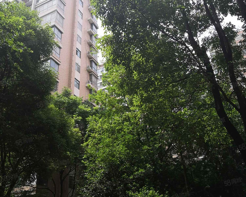 【银谷国际, 银谷国际小区详情,房价走势,房源,业主论坛】- 澧县58