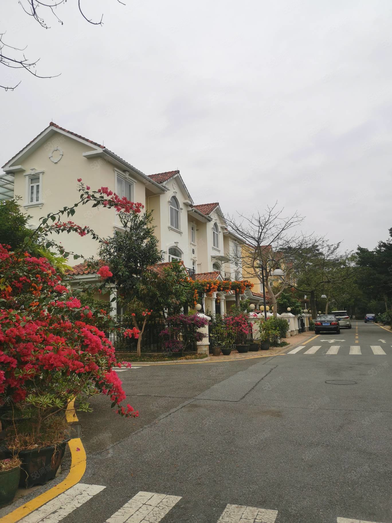 【10图】东方夏湾拿花园 精装小双拼别墅 拥有200方花园,东方夏湾拿