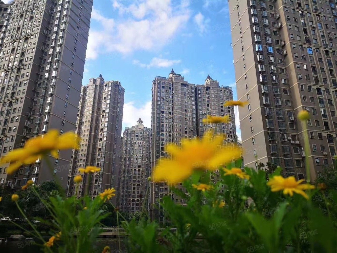 市政府东方名苑二期三期速度来想要的都有篓子急售