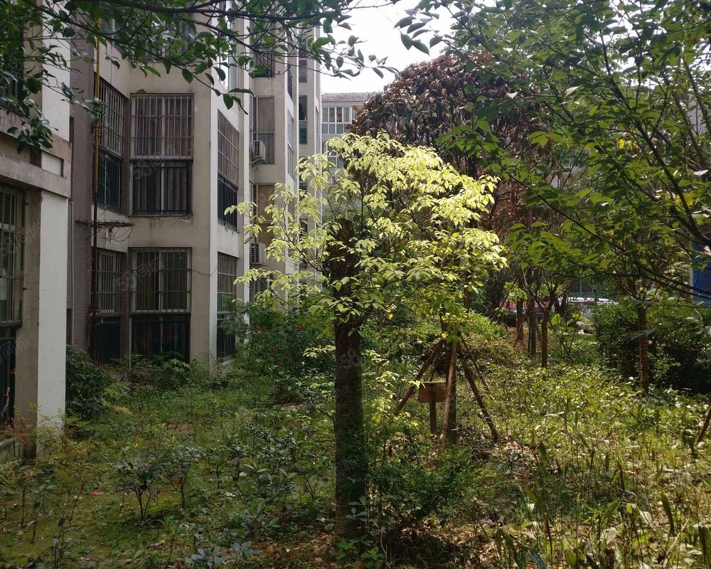 龙祥佳苑三期小区详情,房价走势,房源,业主论坛】- 成都58同城