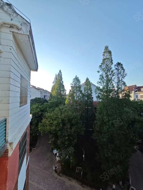 科苑小区4室2厅3卫191㎡南50万