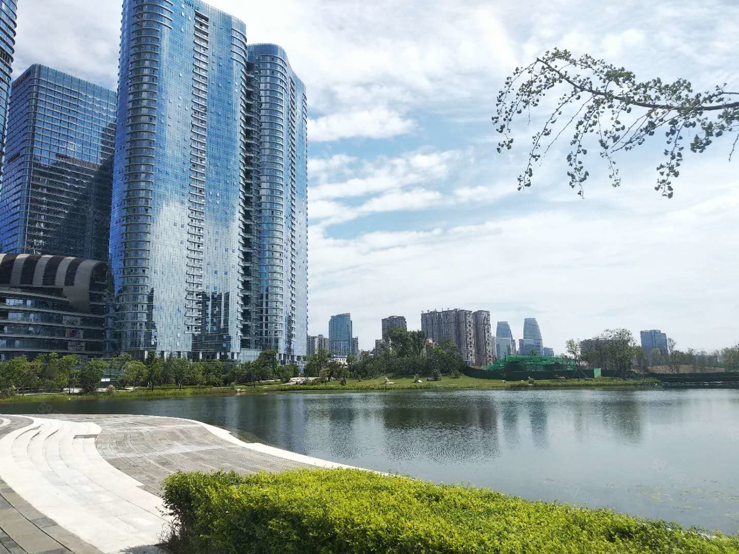 成都银泰中心华悦府3室2厅3卫391㎡南3000万