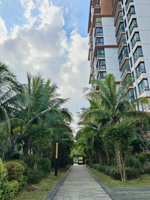 御龙府1室1厅1卫44.25㎡南28万