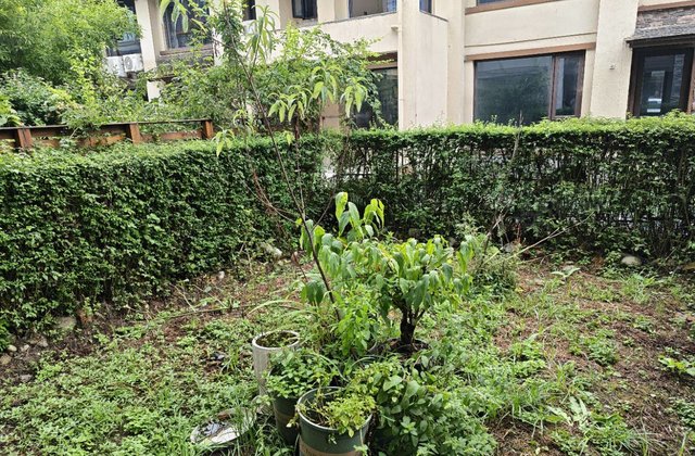 明宇豪雅青城(别墅)4室3厅108.08㎡119万二手房图片