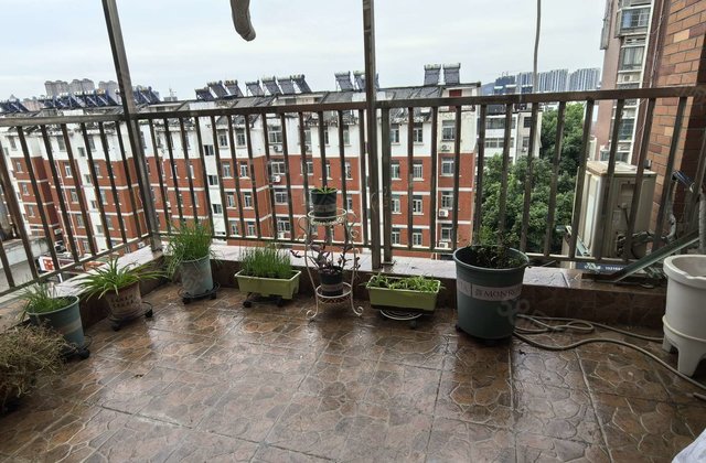 金地国际城A区3室2厅113.82㎡59.8万二手房图片